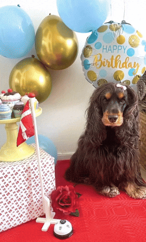 Tillykke Fødselsdag GIF