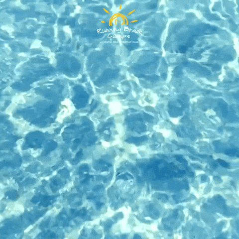 Rbc GIF by Chapel Hill-Chauncy Hall School