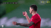 Sl Benfica Darwin GIF by Sport Lisboa e Benfica