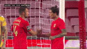 Sl Benfica Hug GIF by Sport Lisboa e Benfica