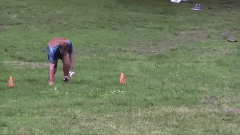 big cat kfc GIF by Barstool Sports
