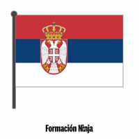 Flag Bandera GIF by Formación Ninja