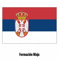 Flag Bandera GIF by Formación Ninja
