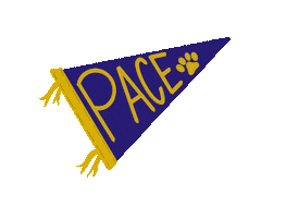 Daniellebrusco college new york new york city pace Sticker