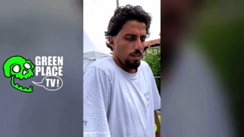 Toledo GIF by Zero21 Surfboards