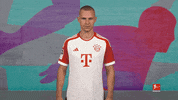 Fc Bayern GIF by Bundesliga