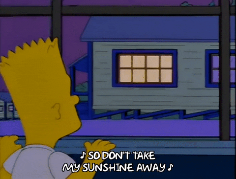 the simpsons episode 25 GIF