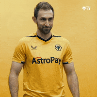 Happy Come On GIF by Wolves