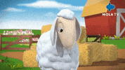 Happy Animation GIF by Mola TV Kids