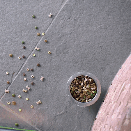 azteqventures giphygifmaker GIF