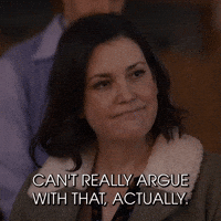 Can't Really Argue With That