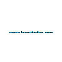 Website Sitoweb Sticker by LocAutoDue