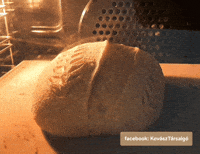 kovaszklub sourdough bread big bread kovászos kenyér home baked bread GIF