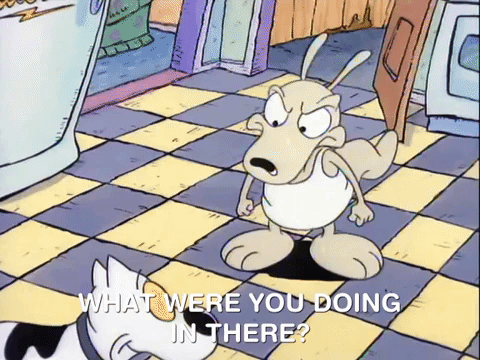rockos modern life nicksplat GIF