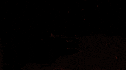 Movie Title GIF by Signature Entertainment