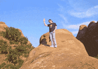 frustrated monty python GIF by irgum