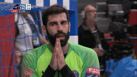 pray rodrigo corrales GIF by Paris Saint-Germain Handball