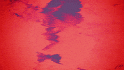 spice channel GIF