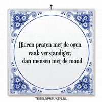 Humor Nl GIF by Tegelspreuken.nl