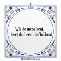 Respect Spreuk GIF by Tegelspreuken.nl