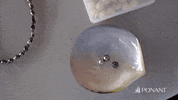 Paul Gauguin Dream GIF by PONANT