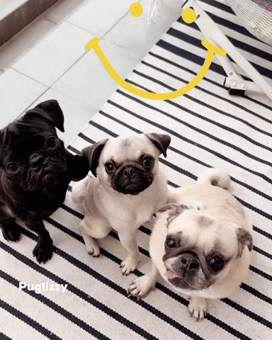 Best Friends Smile GIF