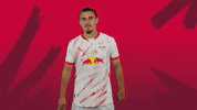 Sport Silence GIF by RB Leipzig