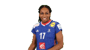 France Handball Sticker by EHF
