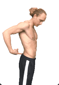 Hendrivermeer shape control calisthenics posture Sticker