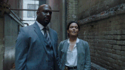 wisdom of the crowd GIF by CBS
