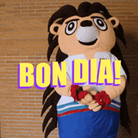 bon pilota GIF by Xarxesfedpival