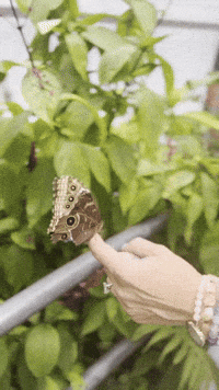 Awaken With Sophie GIF by Sophie Frabotta