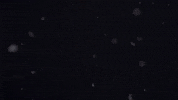 Jumping Team Usa GIF by U.S. Ski & Snowboard Team