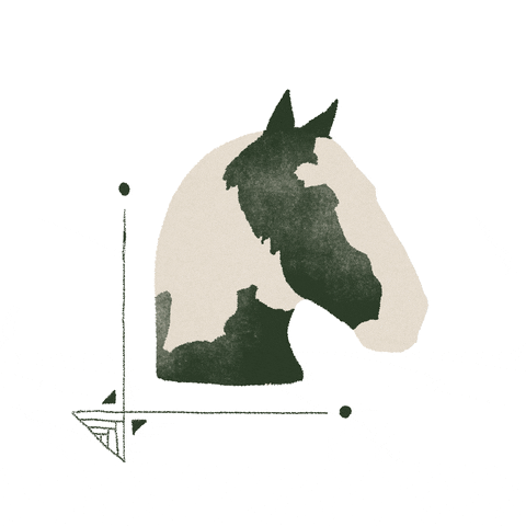 Horse Cheval GIF