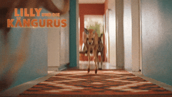 Kangaroo Popcorn GIF by Studiocanal Germany