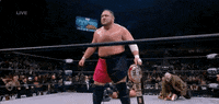 Samoa Joe Wrestling GIF by AEWonTV