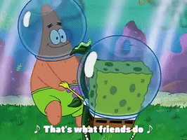 season 2 GIF by SpongeBob SquarePants
