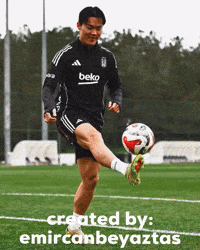 Beşiktaş GIF