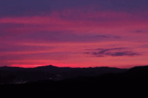 Genie Sj GIF