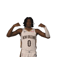 Sport Basketball Sticker by New Orleans Pelicans