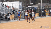 track & field wave GIF by GreenWave