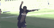 celebration flipping GIF by Philadelphia Union