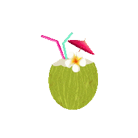 Summer Love Sticker