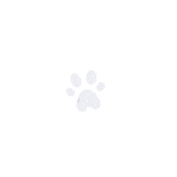 Cat Sticker by Marie Cay
