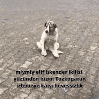 Trt1 Isel GIF