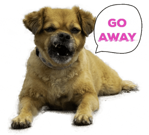 Go Away GIF