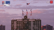American Flag Baseball GIF