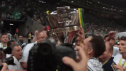GIF by SE Palmeiras