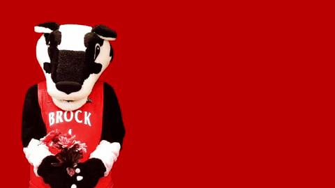 GIF by Brock University