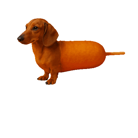 CornDogWarsaw giphyupload Sticker